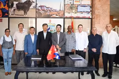 Delegados en la ceremonia de firma (Fuente: VNA)