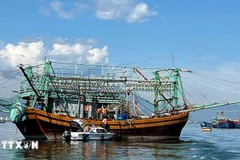 Un barco pesquero en la ciudad central de Da Nang (Fuente: VNA)