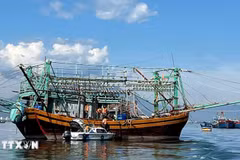 Un barco pesquero en la ciudad central de Da Nang (Fuente: VNA)