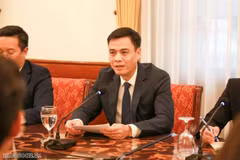 El viceministro de Relaciones Exteriores de Vietnam, Dang Hoang Giang, habla en la cita (Fuente: baoquocte.vn)