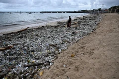 Un hombre se encuentra sobre desechos plásticos y otros desechos acumulados en una playa en la regencia de Kedonganan Badung, en Bali (Foto: AFP)