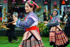 Resolución 80: Cultura, la fuerza que guía el futuro de la nación