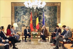 El viceprimer ministro Bui Thanh Son trabaja con el presidente de la Cámara de Representantes belga, Peter De Roover. Foto: VNA