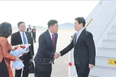 El embajador de Vietnam en Corea del Sur, Vu Ho, recibió al presidente Luong Cuong en el aeropuerto militar de Gimhae, en la ciudad surcoreana de Busan. Foto: VNA