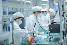 Vietnam ha estado implementando una estrategia para capacitar recursos humanos de alta calidad para la industria de semiconductores. (Foto: VNA)