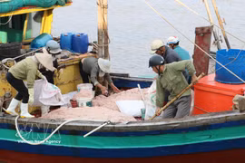 Un barco pesquero faenando cerca de la costa en la comuna de Giao Ninh, provincia de Ninh Binh. Foto: VNA
