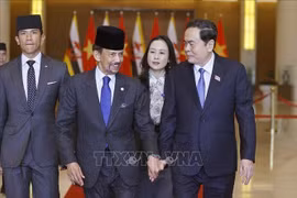 El presidente de la Asamblea Nacional de Vietnam, Tran Thanh Man, se reúne con el sultán de Brunéi, Haji Hassanal Bolkiah (Fuente: VNA)