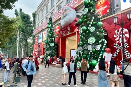 Las calles que conducen al corazón de Ciudad Ho Chi Minh rebosaban de multitudes festivas (Foto: chinphu.vn)