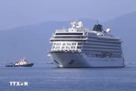 Entre agosto de 2025 y abril de 2026, Saigontourist espera recibir 151 cruceros internacionales con más de 6.000 pasajeros provenientes de Europa, Estados Unidos, Australia y otros mercados (Fuente: VNA)