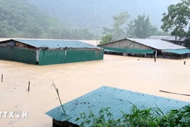 Fuertes lluvias e inundaciones han anegado numerosas viviendas en la comuna de Trung Ha, provincia central de Thanh Hoa. (Foto: VNA)