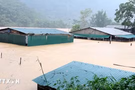 Fuertes lluvias e inundaciones han anegado numerosas viviendas en la comuna de Trung Ha, provincia central de Thanh Hoa. (Foto: VNA)
