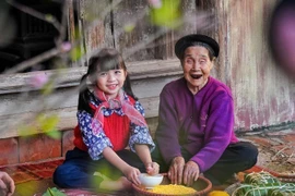 Cuidado de personas mayores en Vietnam: necesidad de una estrategia temprana y sostenible