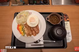 El plato "Arroz partido vietnamita con cerdo" (Fuente: VNA)