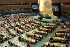 En la sesión plenaria del CDHNU para elegir a sus miembros para el período 2026-2028 (Foto: VNA)