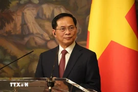 El viceprimer ministro de Vietnam, Bui Thanh Son habla en el evento (Fuente: VNA)
