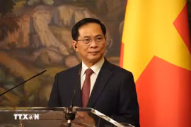 El viceprimer ministro de Vietnam, Bui Thanh Son habla en el evento (Fuente: VNA)