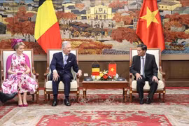 El Rey Felipe de Bélgica y la Reina Matilde se reúnen con Nguyen Van Tung, presidente del Comité Popular de Hai Phong (Fuente: VNA)