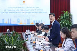 El vicecanciller Dang Hoang Giang habla en el evento (Fuente: VNA)