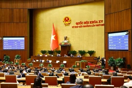 Los delegados de la Asamblea Nacional de Vietnam de la XV Legislatura aprobaron la Resolución relacionada con políticas y mecanismos especiales para el proyecto de energía nuclear de Ninh Thuan (Fuente: VNA)