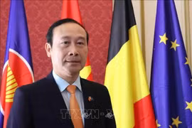 El embajador vietnamita en Bélgica, concurrente en el Gran Ducado de Luxemburgo, y jefe de la Delegación vietnamita ante la Unión Europea (UE) Nguyen Van Thao (Fuente: VNA)