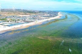 El distrito de Thuan Nam, provincia de Ninh Thuan, fue elegido como sede para la construcción de la central nuclear Ninh Thuan 1. (Foto: VNA)