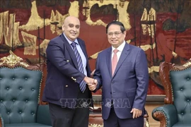El primer ministro de Vietnam, Pham Minh Chinh, recibe a Ali Ijaz Ahmad, presidente y director general del grupo singapurense Makara Capital Partners. (Fuente: VNA)