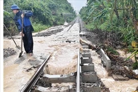 Debido a las fuertes lluvias en la región del Centro-Sur, la Corporación de Ferrocarriles de Vietnam anunció la suspensión de varios trenes de pasajeros y de carga (Fuente: VNA)