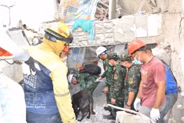 Equipos de rescate vietnamitas buscan víctimas entre los escombros. Foto: VNA