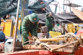 Guardias fronterizos ayudan a los pescadores a evitar el tifón Mayak. Foto: VNA.