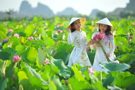 Temporada de floración del loto en Ninh Binh atrae a miles de turistas