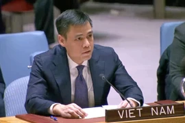 El representante permanente de Vietnam ante Naciones Unidas, el embajador Dang Hoang Giang (Fuente: VNA)