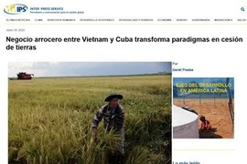 El artículo en la página de IPS (Fuente: VNA)