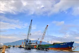 Una parte del puerto de Vung Ang (Fuente: VNA)