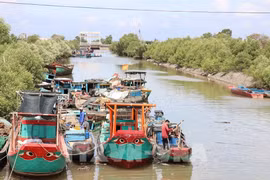 El Comité Popular de la provincia de Dong Thap está implementando el "Proyecto para transformar algunos oficios relativos a la explotación acuática que afectan los recursos marinos y el entorno ecológico" (Fuente: VNA)