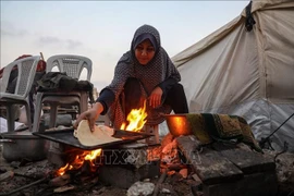 Una mujer palestina en la zona de Sheikh Radwan, al norte de Gaza. Foto: Xinhua/TTXVN