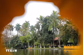 Área de reliquias del Presidente Ho Chi Minh: un lugar para preservar la imagen del Tío Ho
