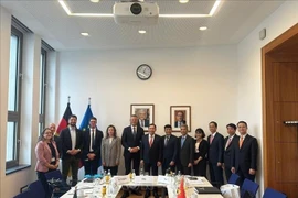 En el encuentro entre la delegación vietnamita y el Ministerio del Interior alemán (Fuente: VNA)