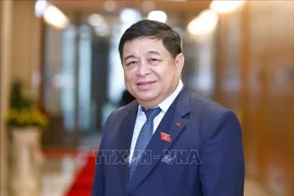 El viceprimer ministro de Vietnam Nguyen Chi Dung (Fuente: VNA)