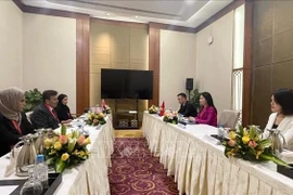 La delegación vietnamita sostiene una reunión bilateral con representantes de los Emiratos Árabes Unidos (Fuente: VNA)