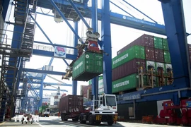 El sistema portuario de Ciudad Ho Chi Minh. (Foto: VNA)