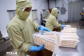 Vietnam diversifica mercados y productos de exportación