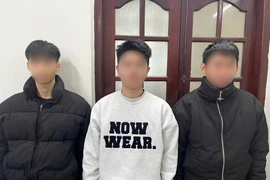 Los sospechosos involucrados en el tráfico y venta ilegal de más de 8.400 millones de cuentas de correo electrónico (Fuente: VNA)