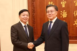 El viceprimer ministro de Vietnam, Tran Hong Ha (izquierda) y Wang Dongming, vicepresidente del Comité Permanente de la Asamblea Popular Nacional (Fuente: VNA)