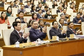 Delegados en la novena reunión extraordinaria de la Asamblea Nacional en su XV Legislatura (Fuente: VNA)