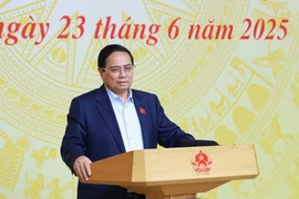 El primer ministro vietnamita, Pham Minh Chinh. (Fuente: VNA)