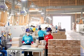 Gobierno vietnamita lanza plan de acción para fortalecer el sector privado