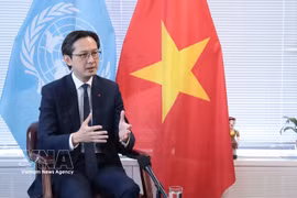 El embajador Do Hung Viet (Fuente: VNA)