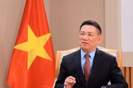El viceprimer ministro Ho Duc Phoc (Fuente: VNA)