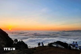 La meseta de Dong Cao, ubicada en la comuna de Van Son, provincia de Bac Ninh, se llena de visitantes que llegan para cazar nubes (Fuente: VNA)