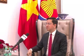 El embajador vietnamita en la India concurrente en Nepal y Bután, Nguyen Thanh Hai (Fuente: VNA)